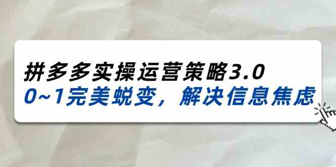 2024-2025拼多多实操运营策略3.0，0~1完美蜕变，解决信息焦虑（38节）-轻创淘金网
