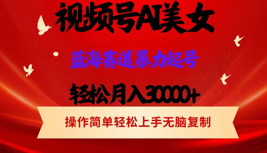 （12178期）视频号AI美女跳舞，轻松月入30000+，蓝海赛道，流量池巨大，起号猛，当…-轻创淘金网